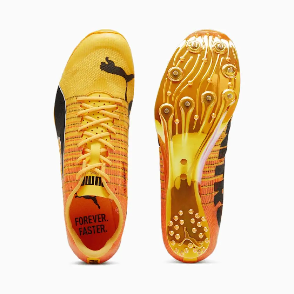 All Gender Evospeed Sprint Nitro 2 Track Spike - Sun Stream/Sunset Glow/PUMA Black - Regular (D)