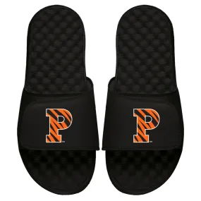 Princeton Primary Logo Slides