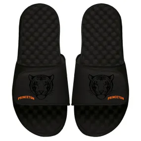 Princeton Tonal Pop Slides