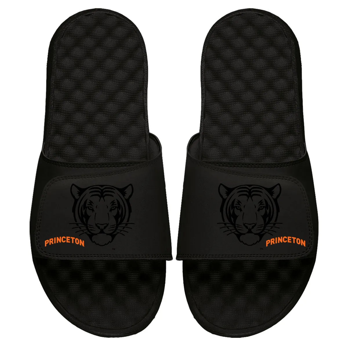 Princeton Tonal Pop Slides