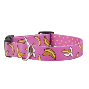Sport Collar | Bananarama