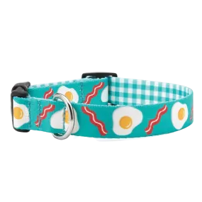 Sport Collar | Brunch Bunch