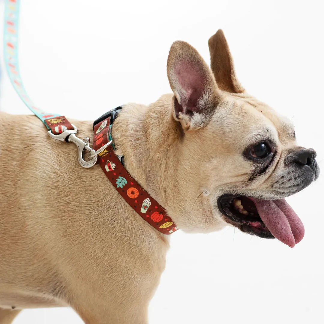 Sport Collar | Pumpkin Spice Brown
